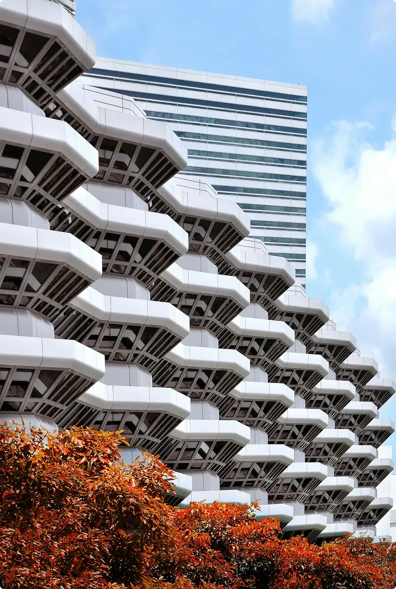 danist-soh--YvV3QgjyKs-unsplash